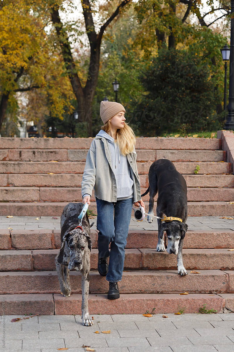 young woman walking with dogs in the park