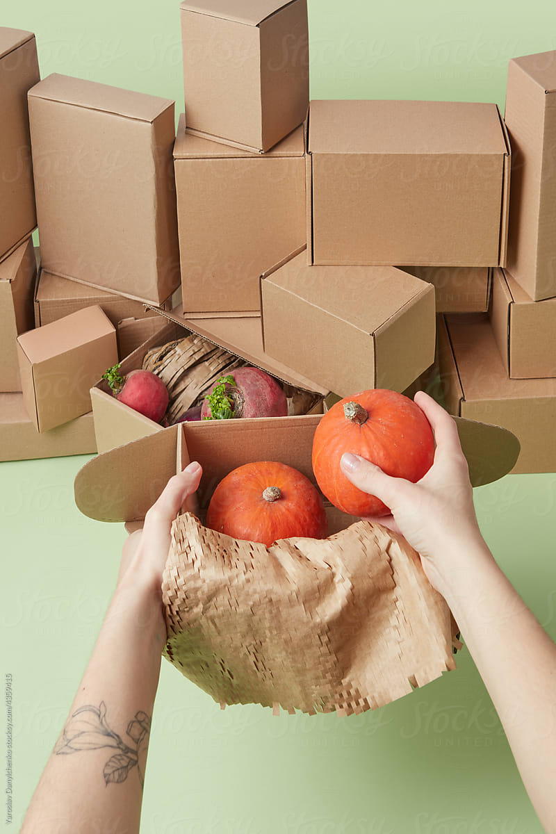 Female hands packing pumpkins in parcel box
