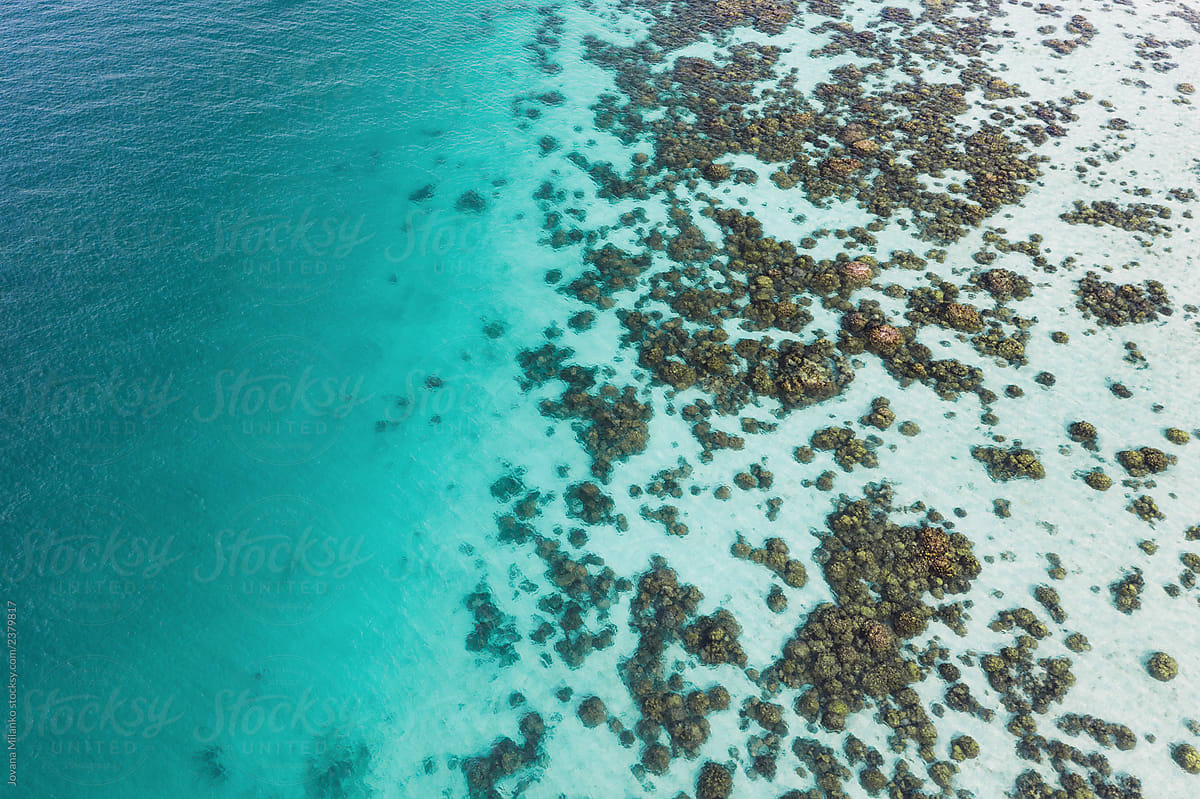 Drone view of a tropical beach
