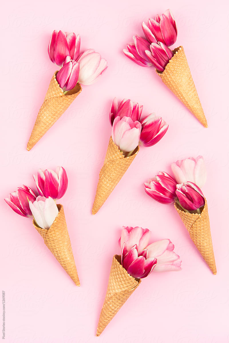 Pink shade tulips in wafer ice cream cone