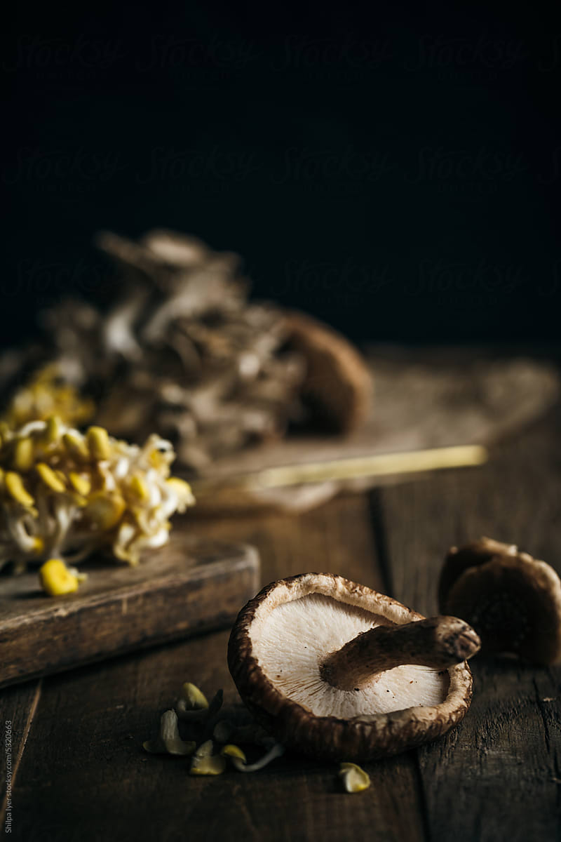 Shiitake Mushroom and Oyster Mushrooms