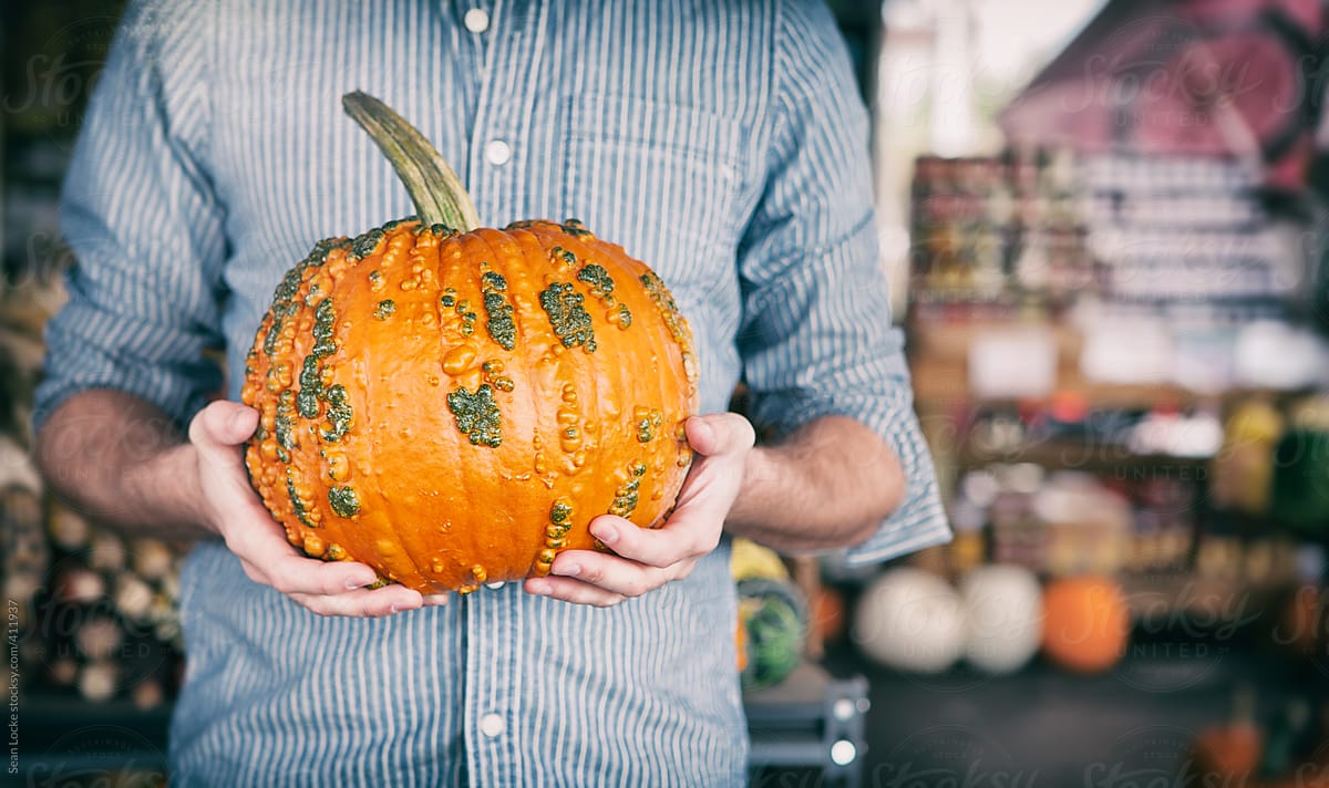 Market: Man Holds Pumpkin With Bumpy Texture