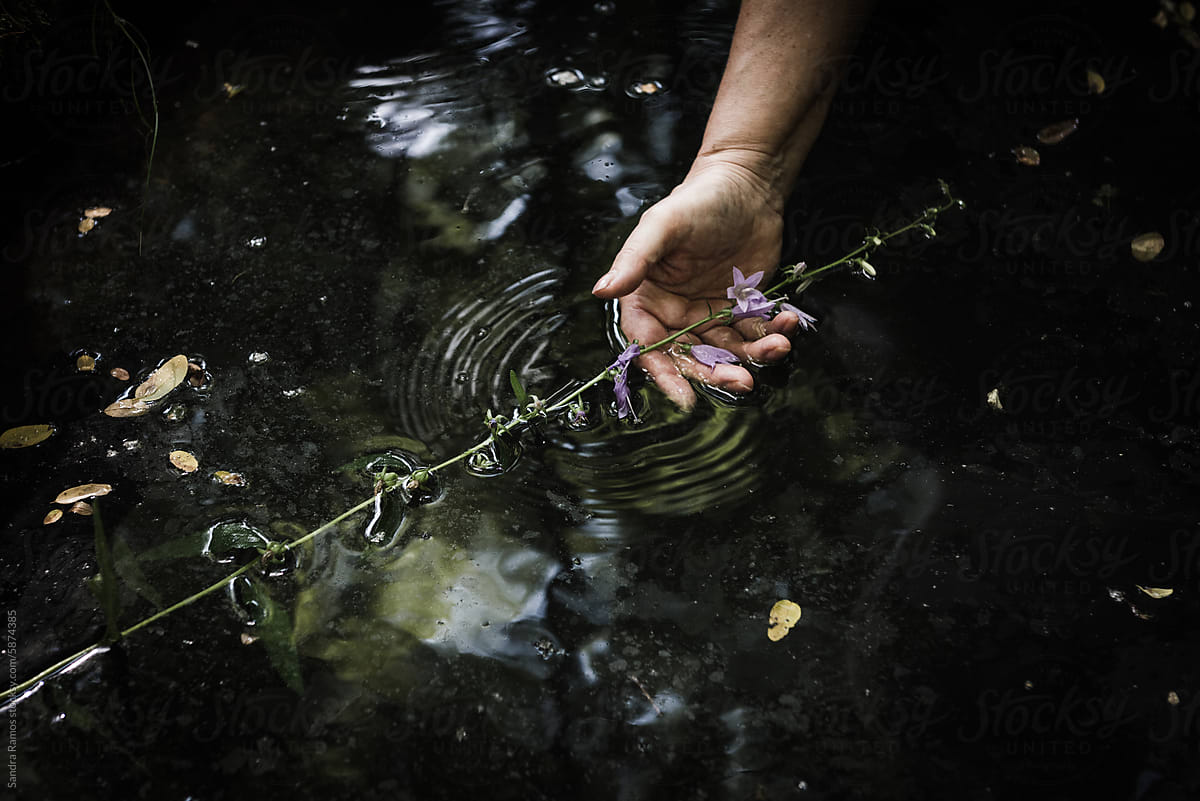 Hand holding flower in water