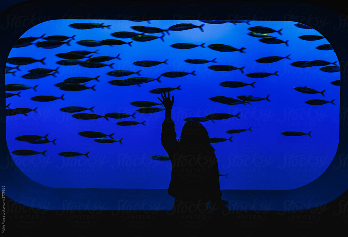 Silhouette of a Girl in an Aquarium