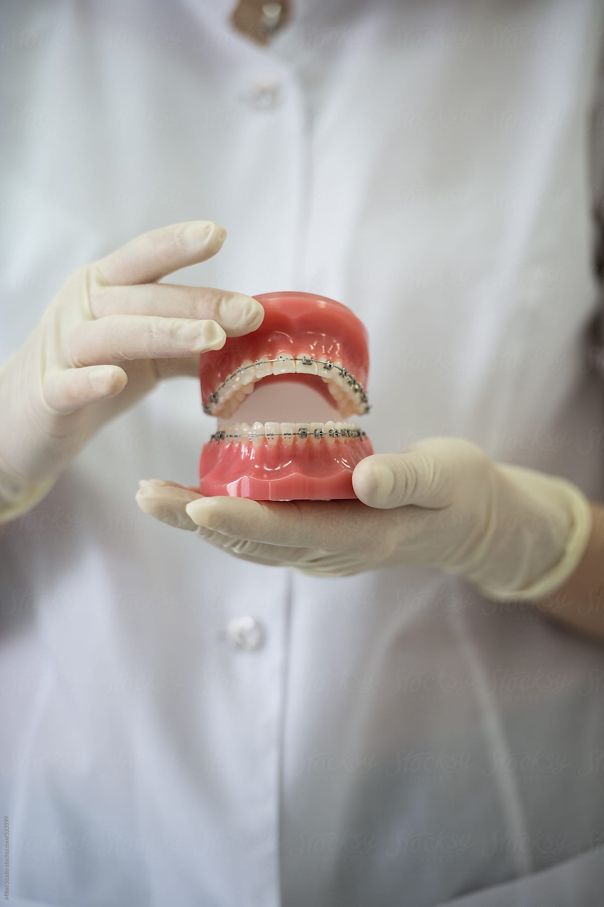 Unrecognizable dentist woman holding teeth model. Dental health care clinic.