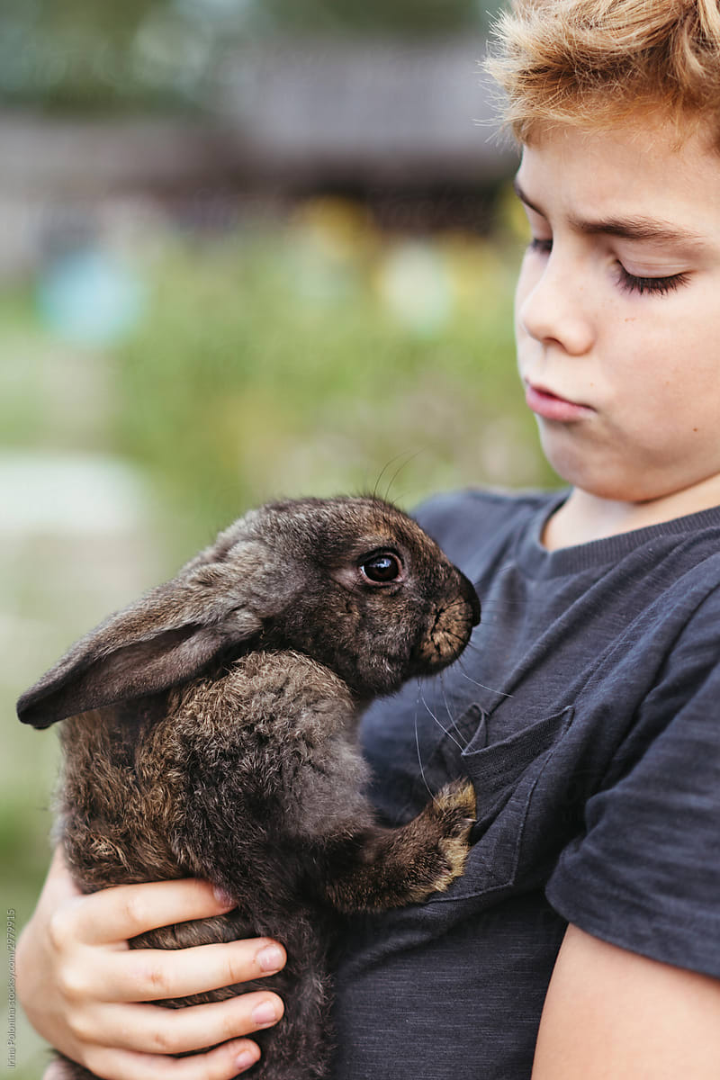 A young boy with a rabbit.
