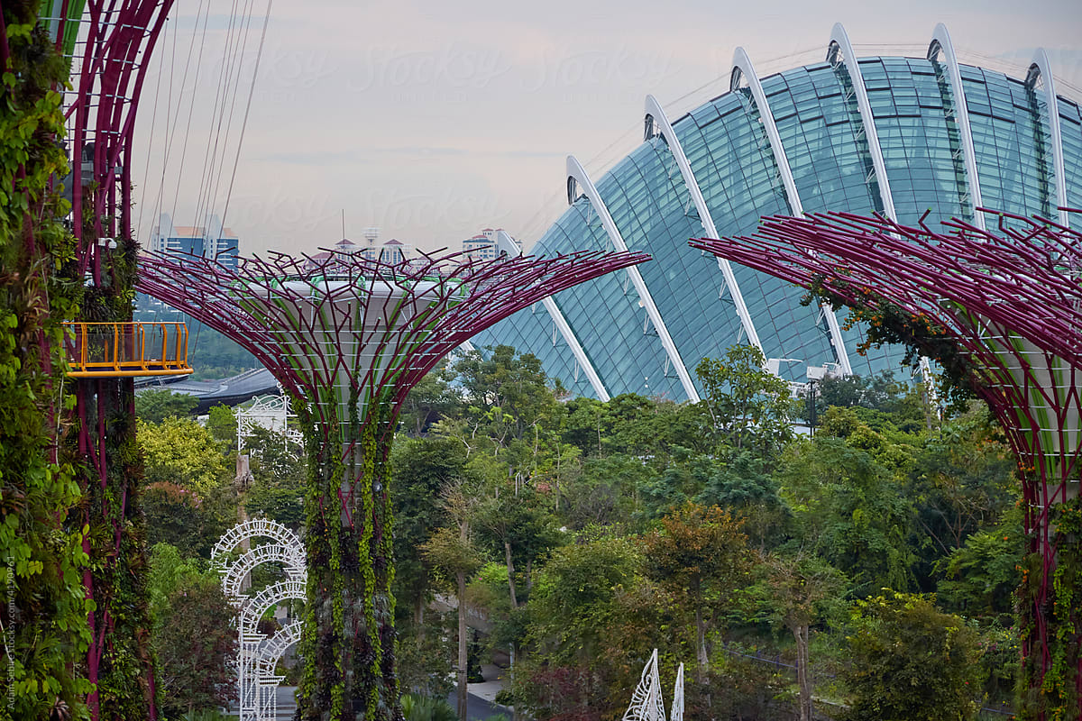 Singapore vertical sky gardens, city greenery renewal