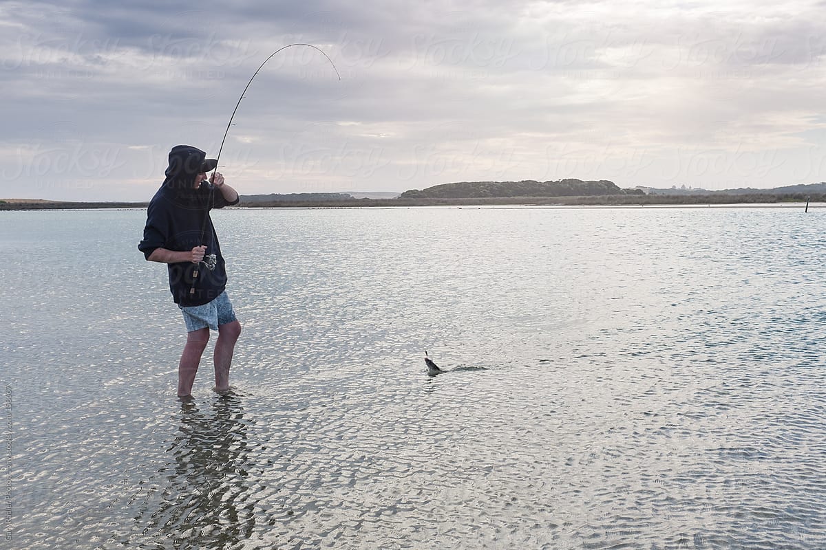 Wading Angler in last stage of landing a Southern Black Bream
