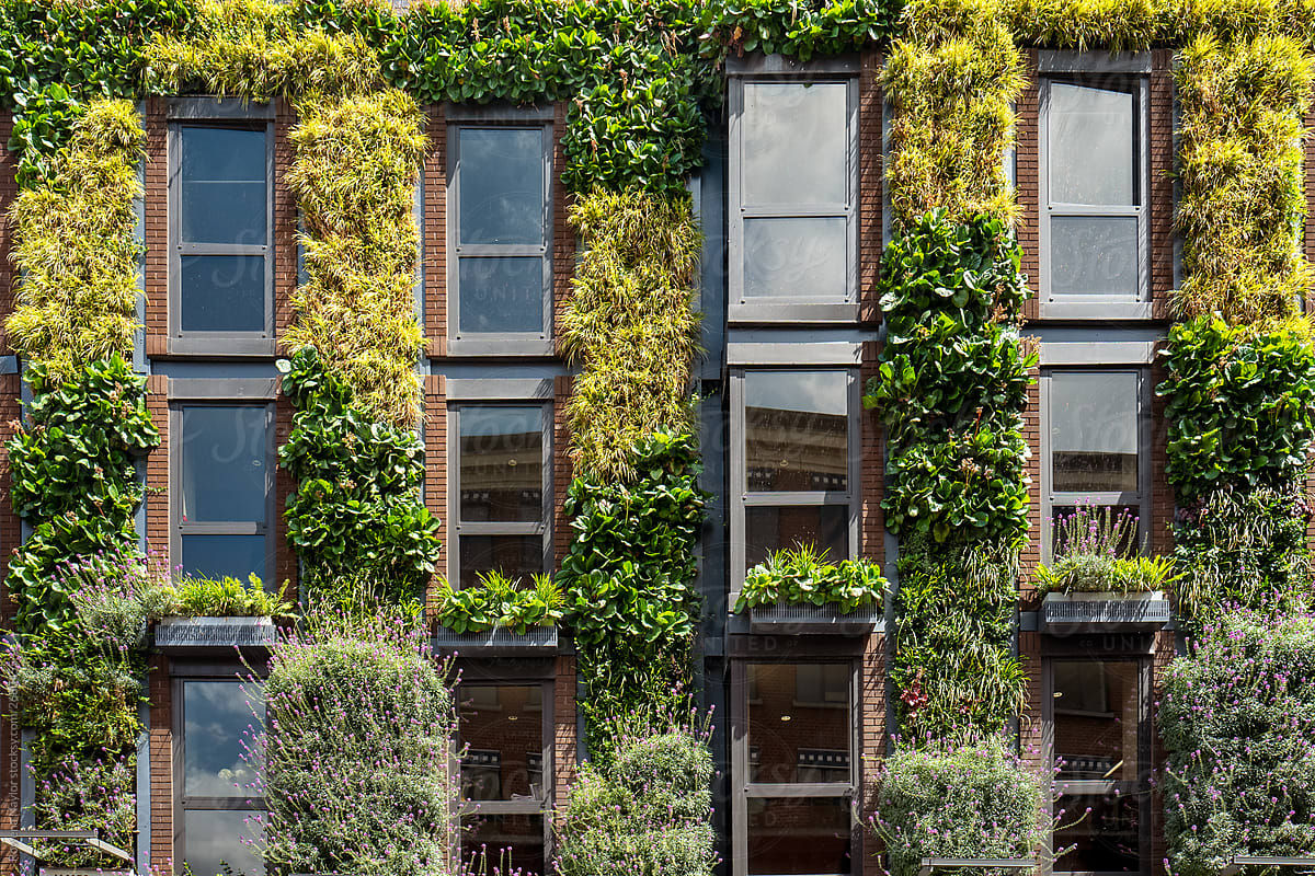 Green vertical garden on apartment building