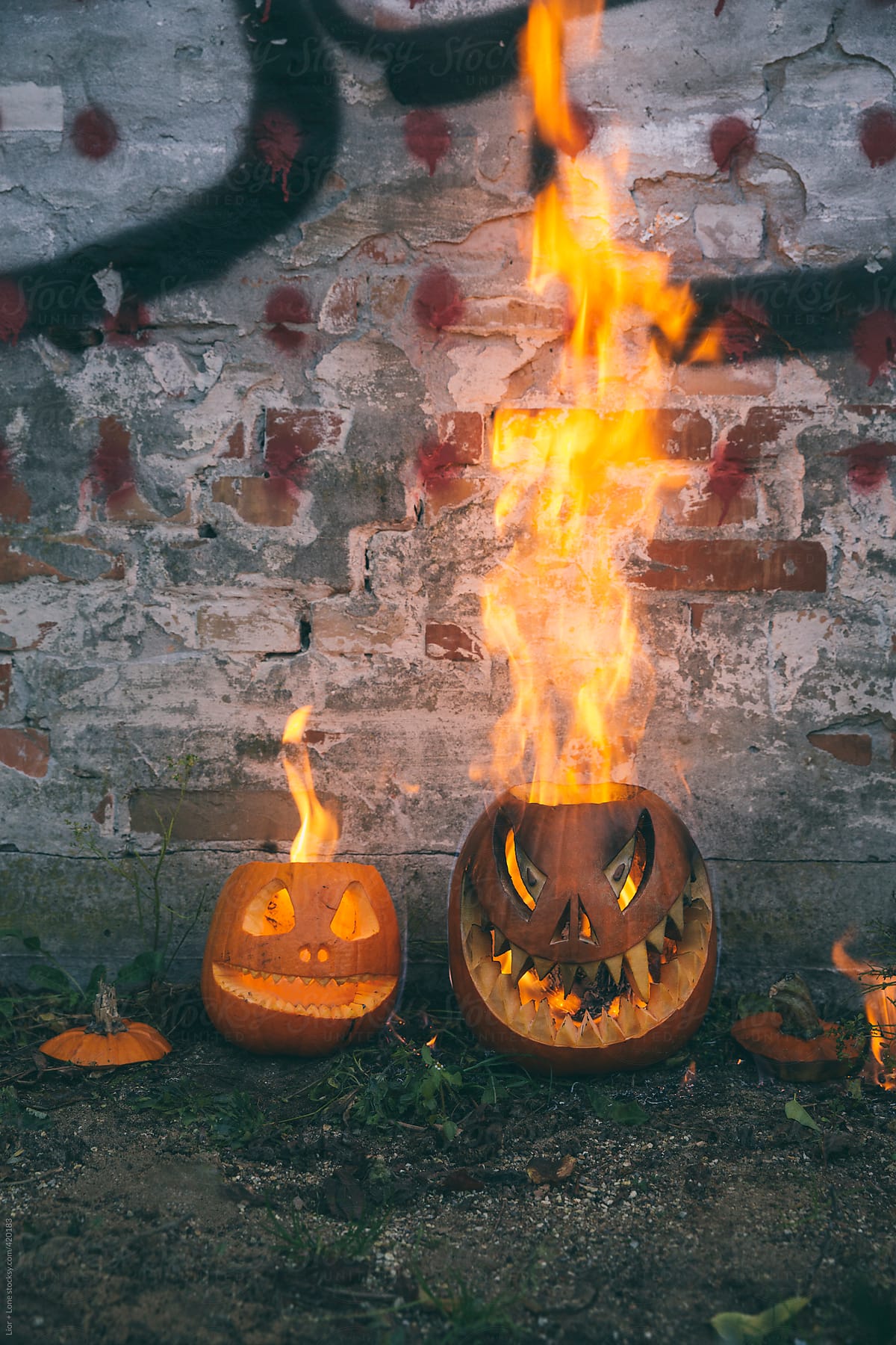 Fire exploding from two Halloween pumkins placed against brick wall