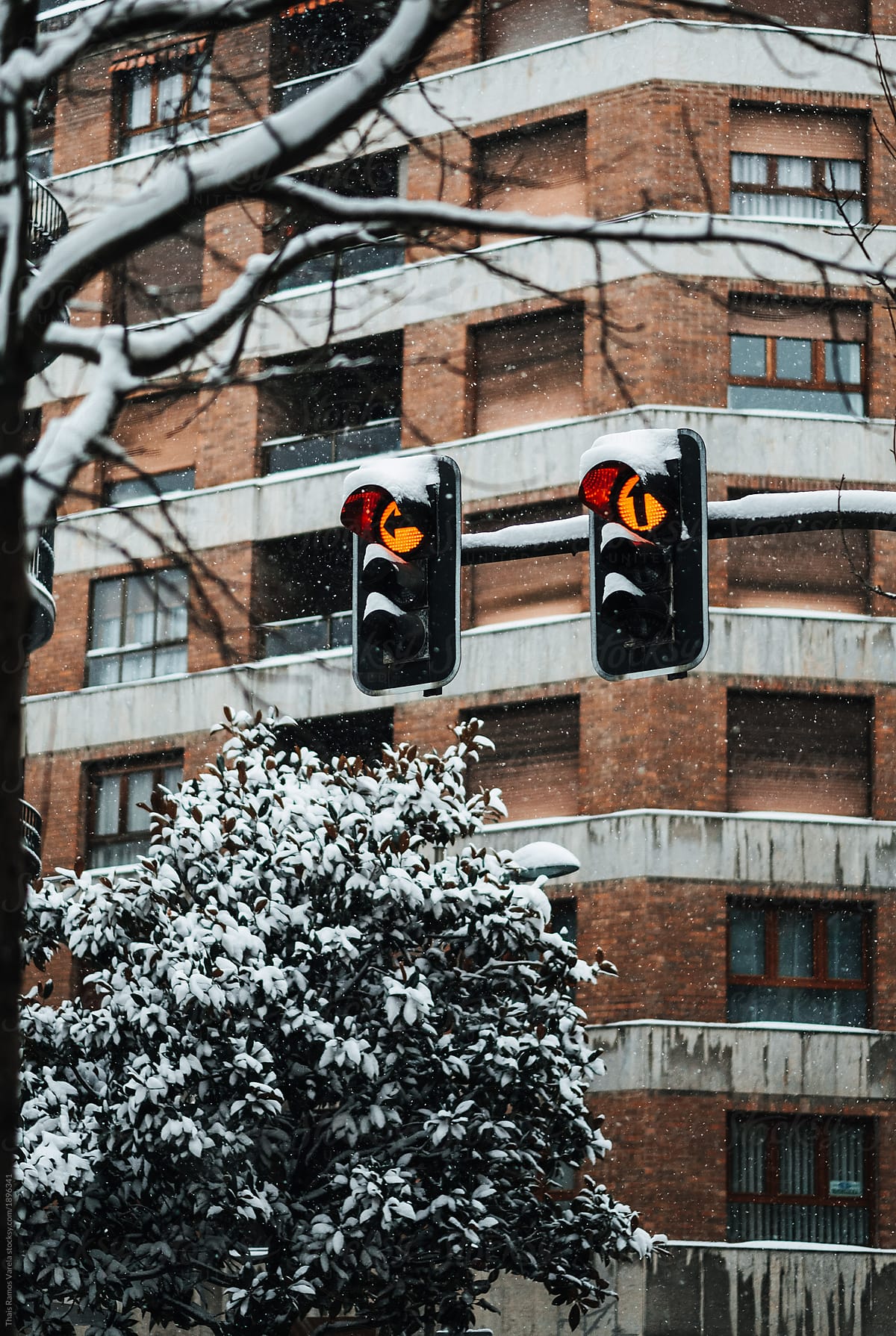 traffic light on a frozen city