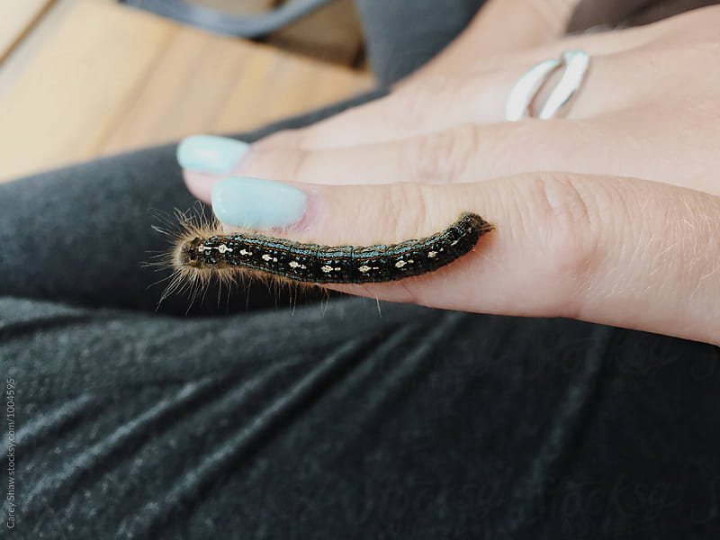 Caterpillar crawling on woman's hand