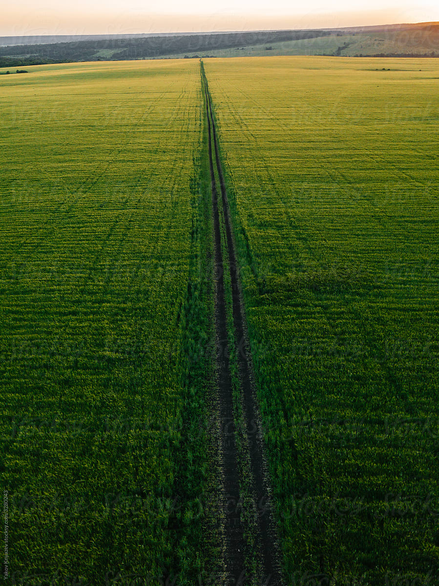 Gravel road in the middle of a green field