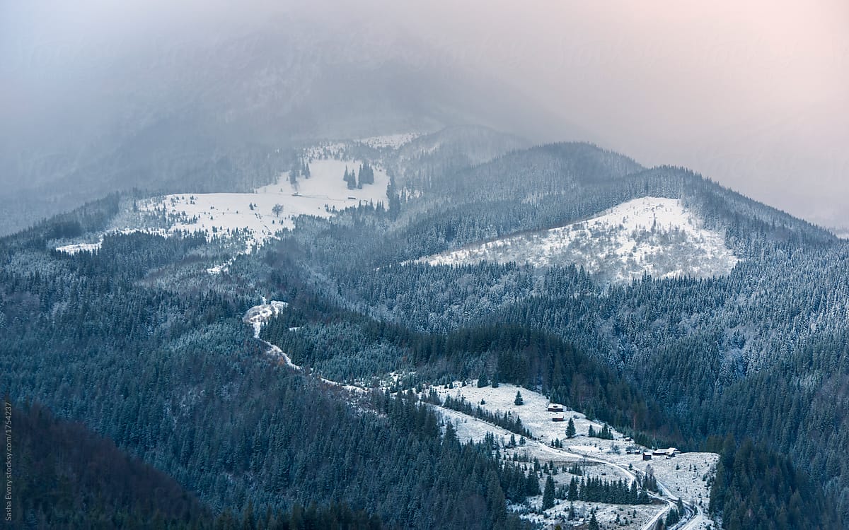 Snowy mountains covered with coniferous forest