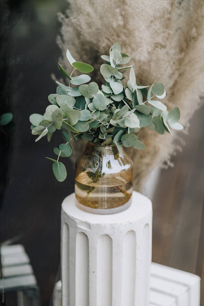 Jar with eucalyptus