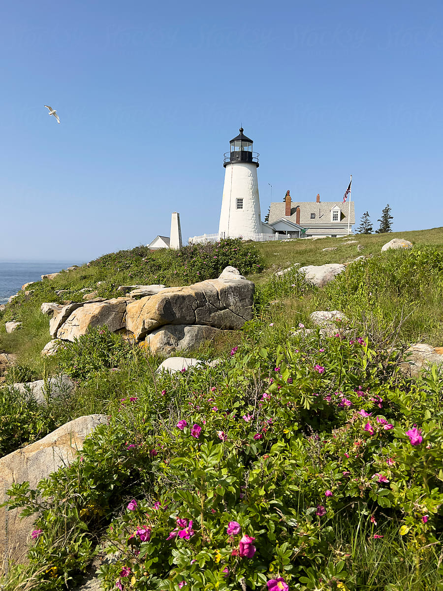 Pemaquid Point Lighthouse Maine in summer nature landscape