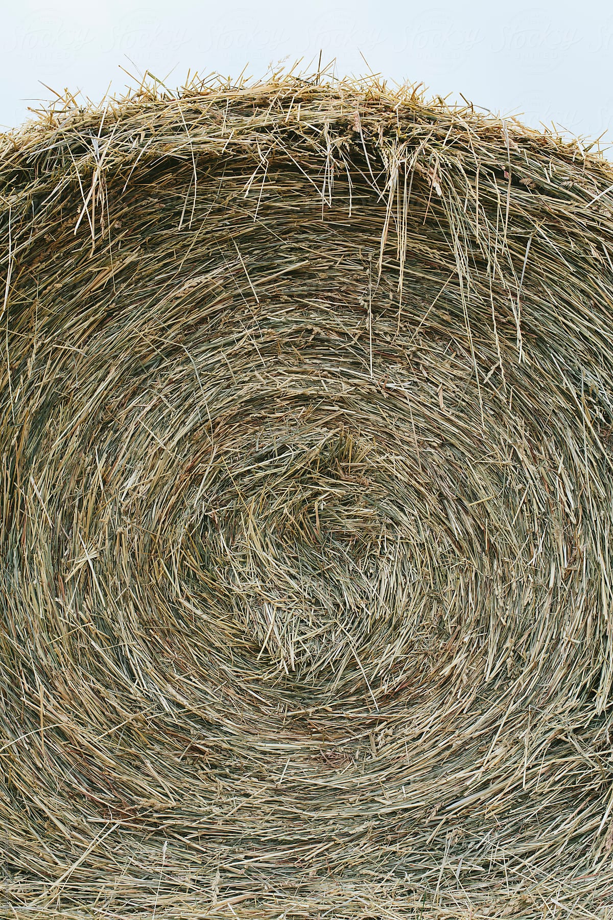 Bales of hay