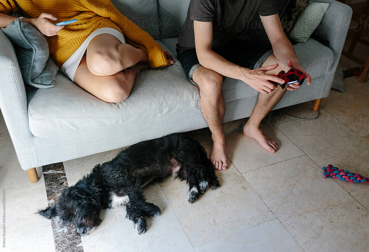 Dog lying on the floor and couple on couch
