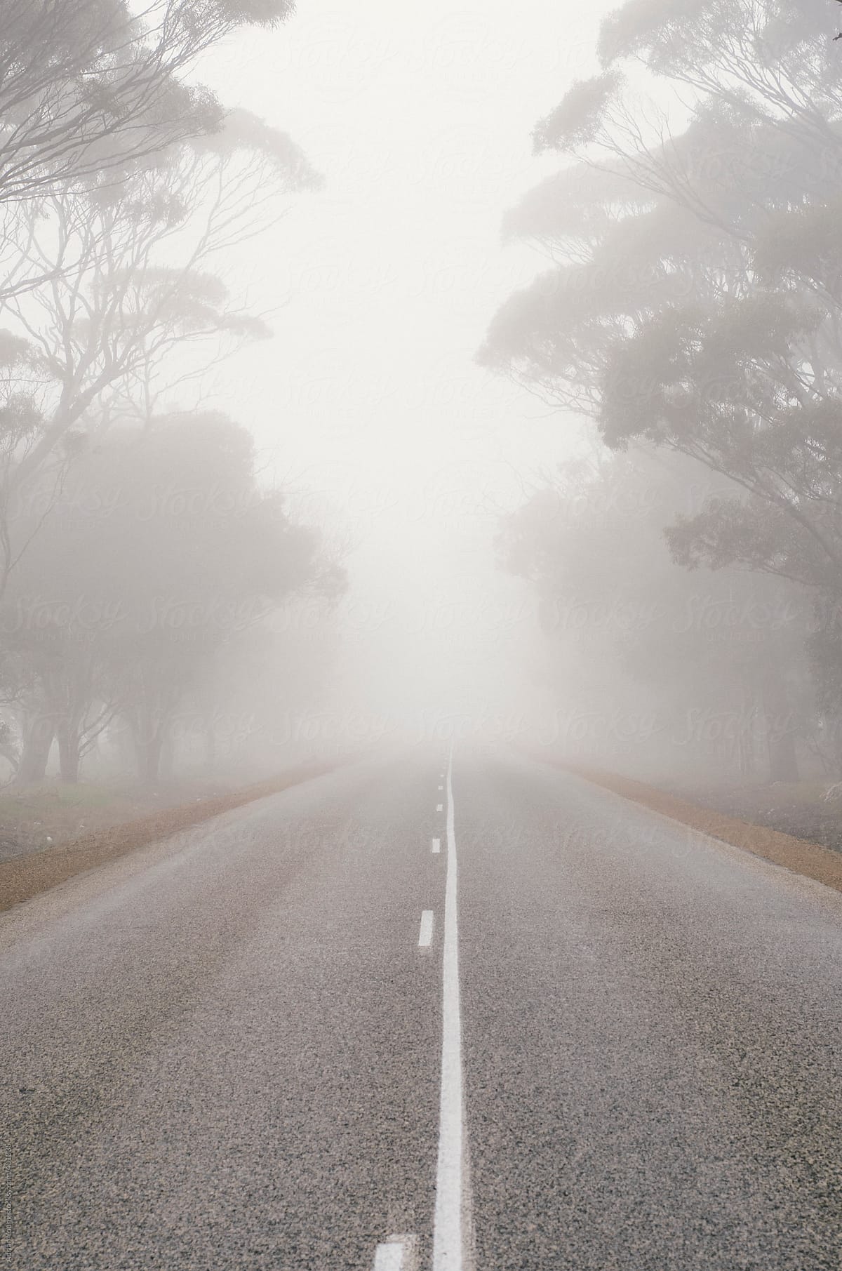 Road Into A Heavy Fog