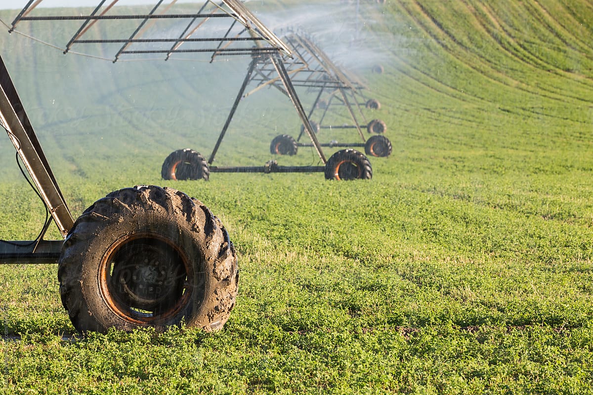 Agricultural sprinkler spraying water on a field