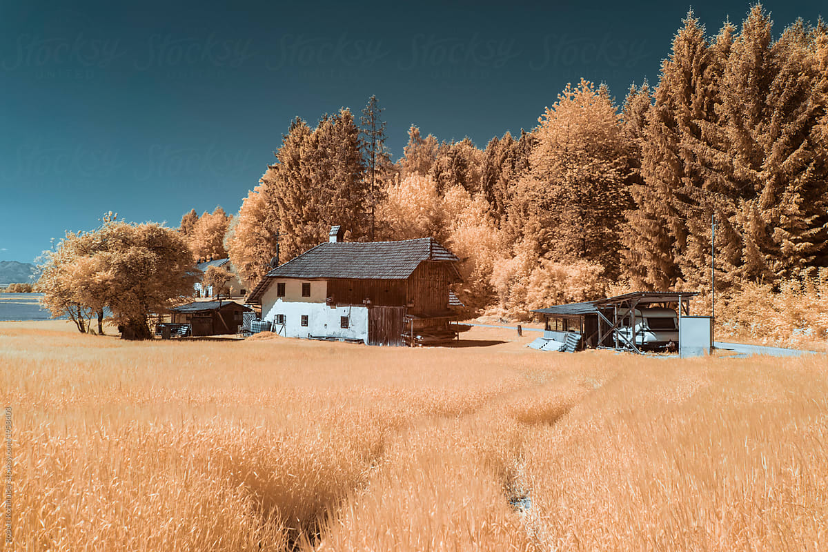 Rural landscape during spring in austria, shot in Infrared IR