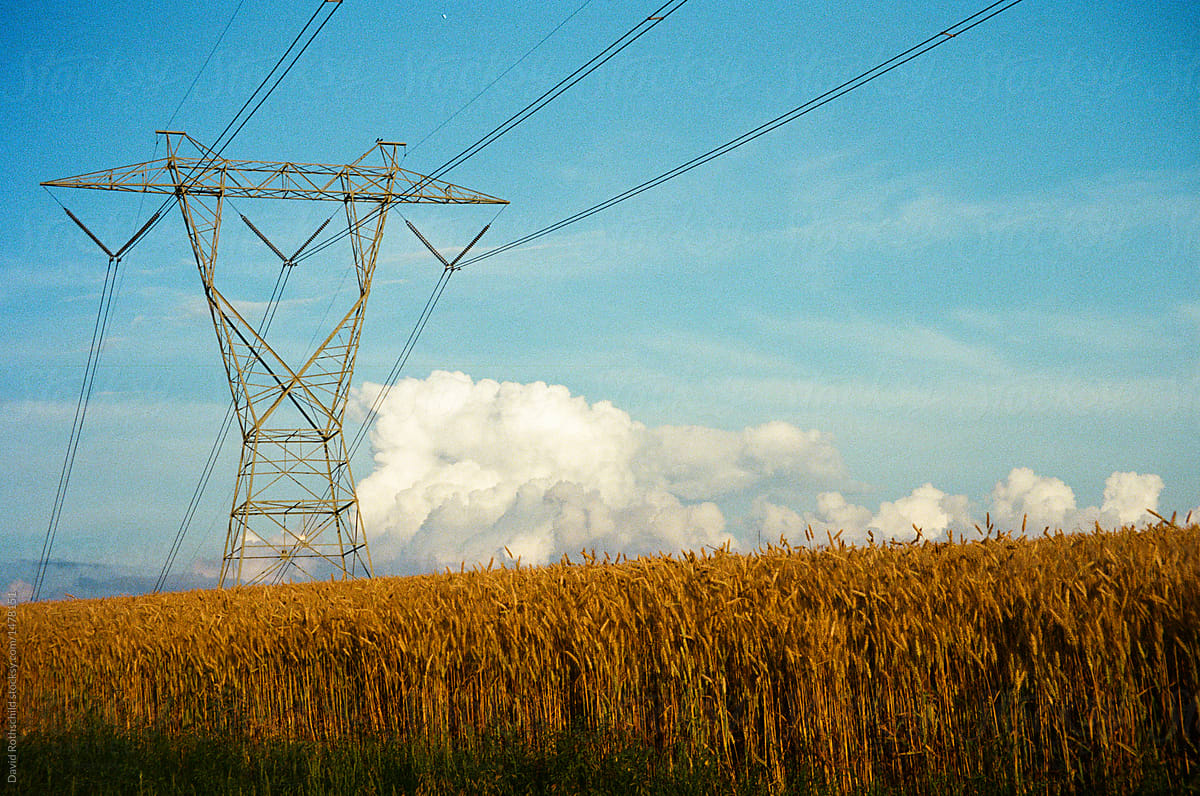 Wheat and Wires