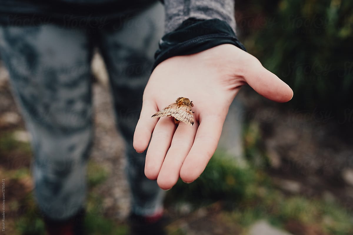 Girl holding Patagonian Moth