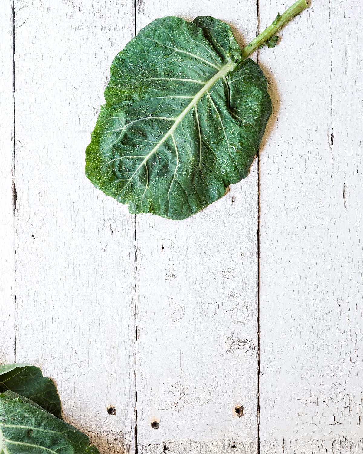 Leaf of Collard greens salad on shabby wooden background