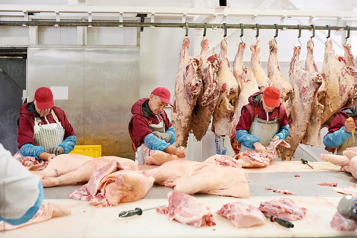 Butchers processing meat at factory