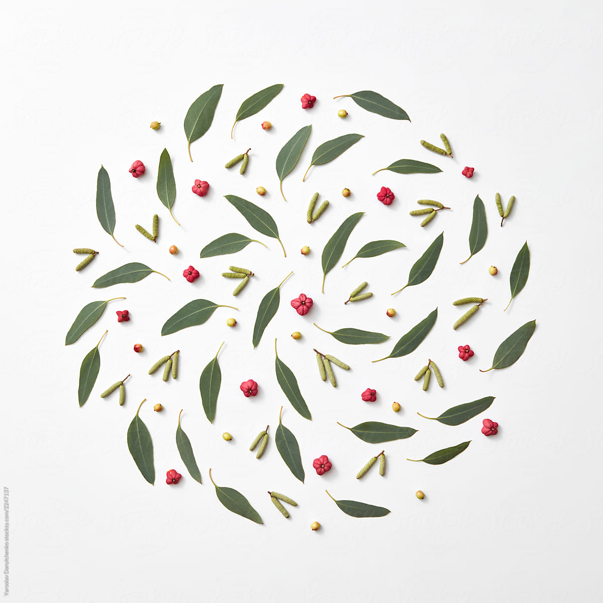 Natural pattern in the form of a circle of buds, berries and green leaves on a gray background with copy space. Natural layout. Flat lay