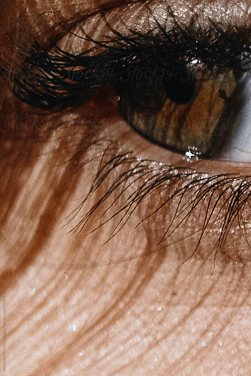 Detail - Close Up Of A Human brown Eye