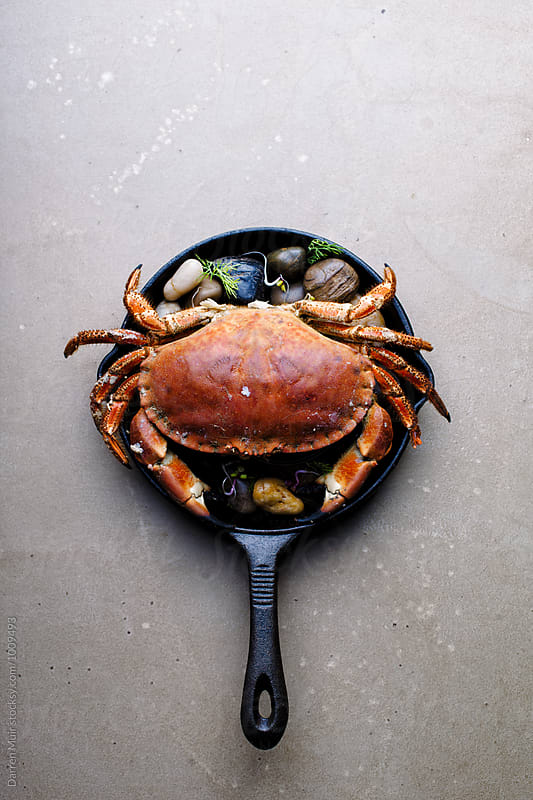 Cooked brown crab in a skillet. From above.