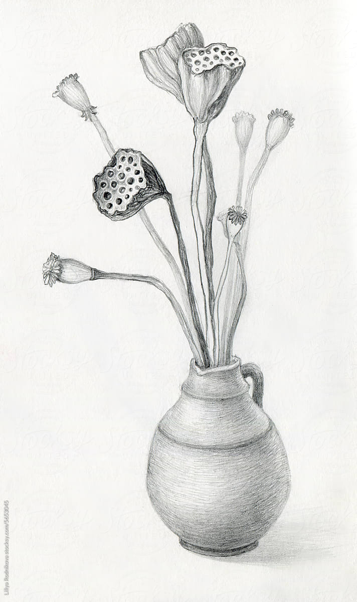 Hand drawn vase with dried flowers