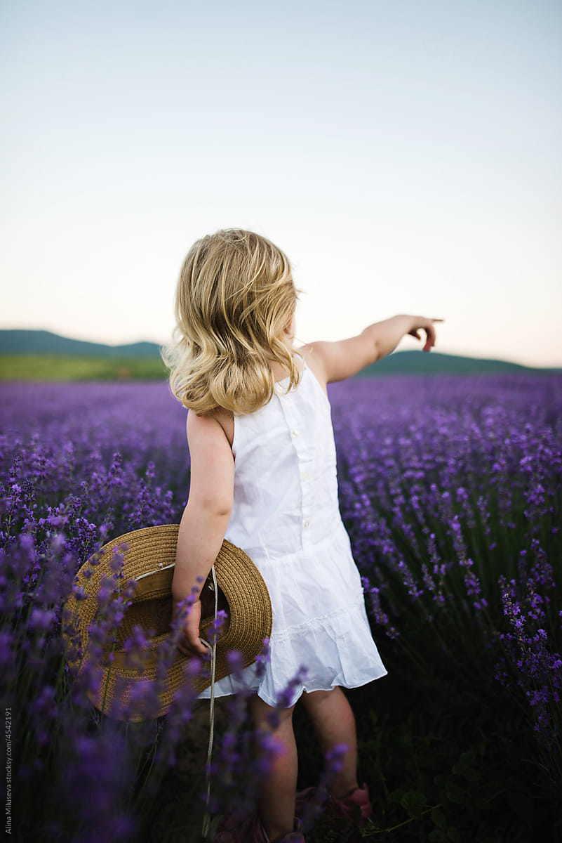 Little girl standing in purple blooming lavender field