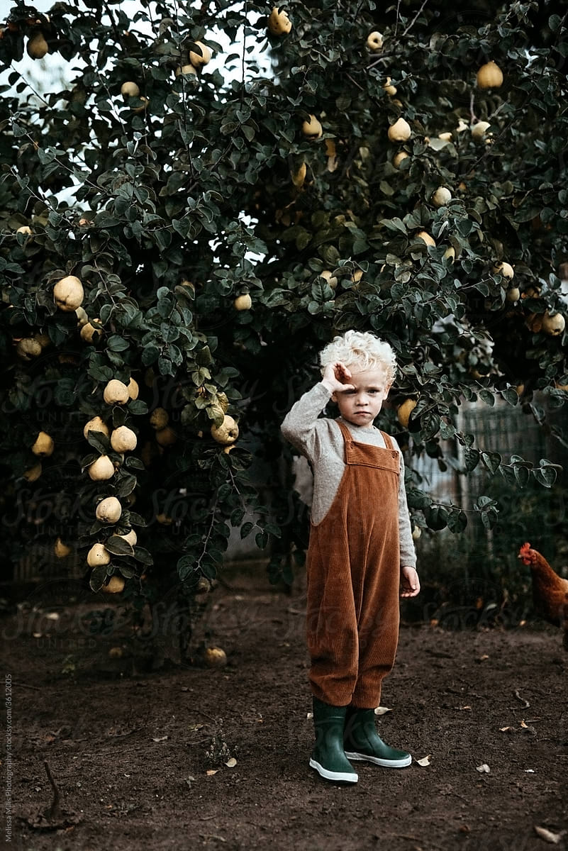 Blond kid in the garden with a chicken and pear tree