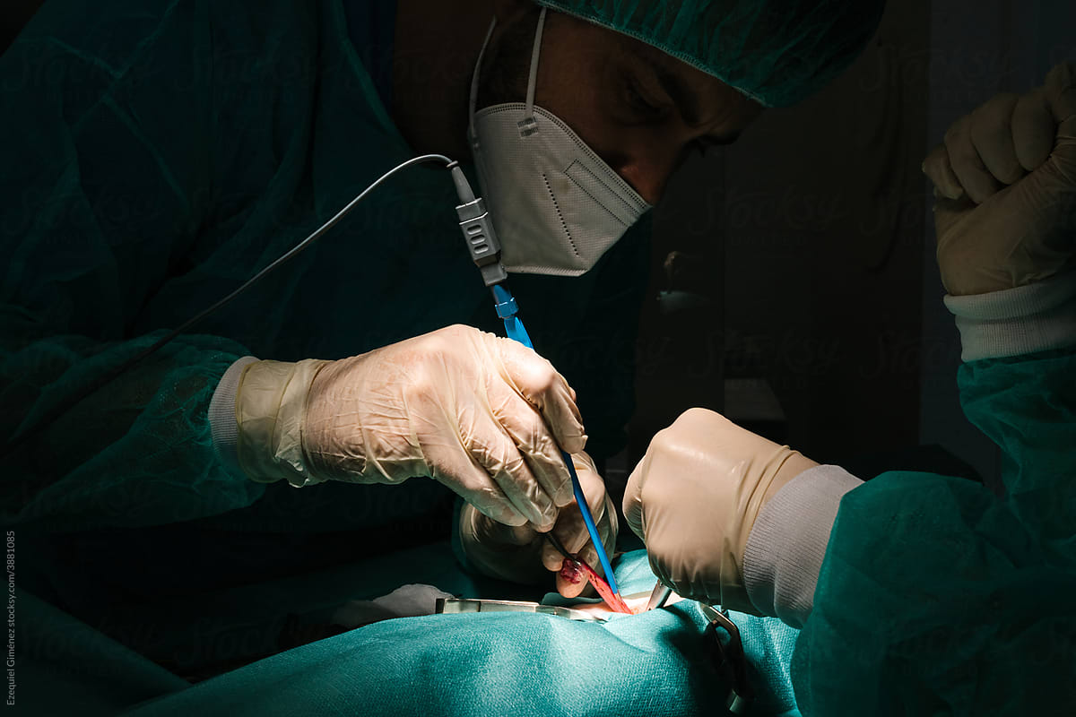 Veterinarians conducting surgery on animal