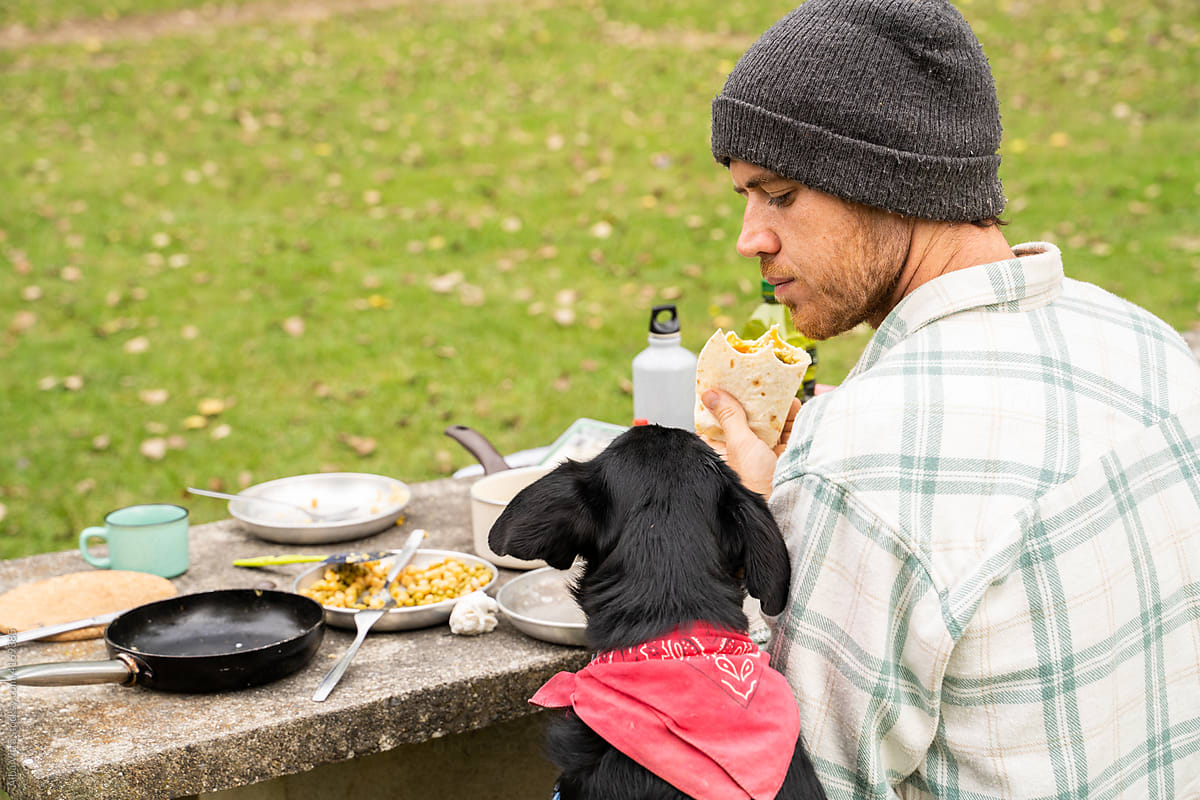 Man having picnic outdoors with his dog