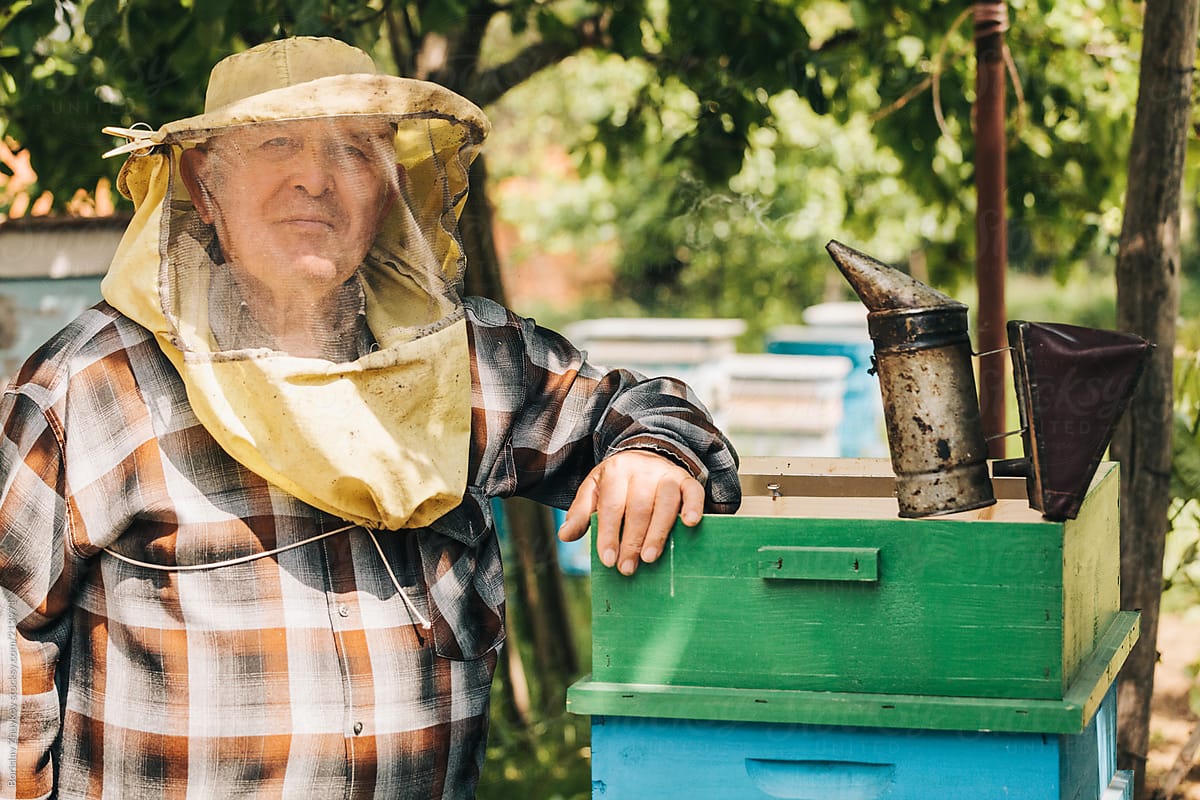 Portrait of beekeeper , posing on his beehives