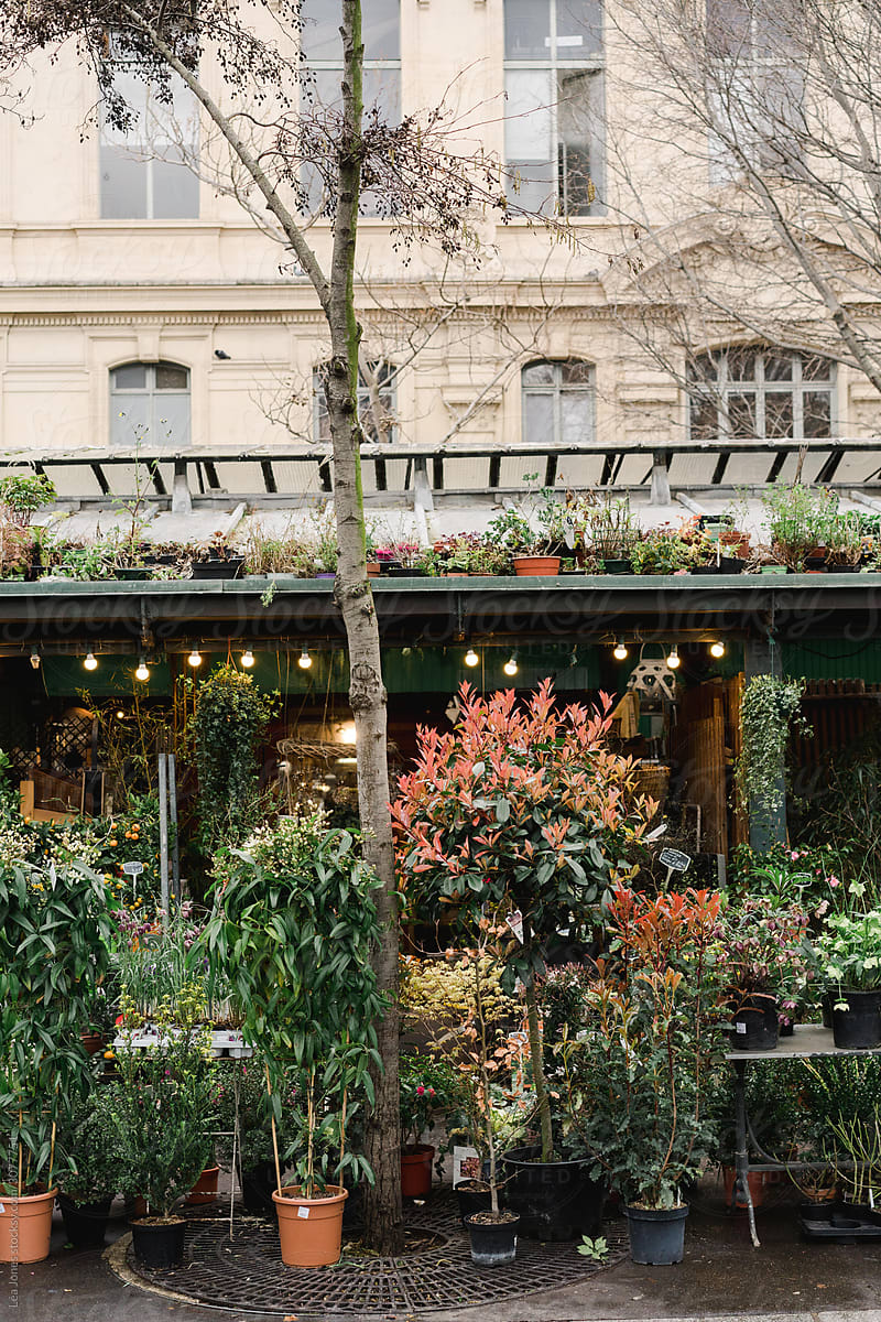 flower shops in Paris