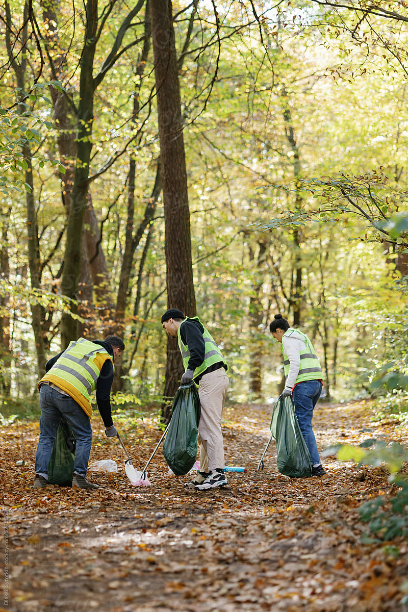 Environmental volunteering trash human impact teamwork woodland