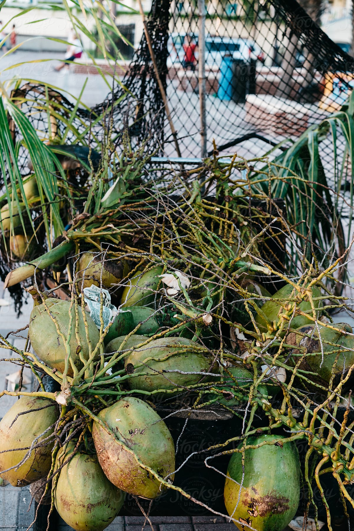 A street seller\'s fresh coconuts
