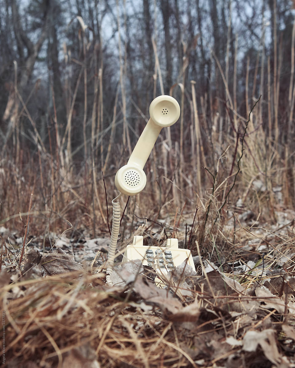 Mysterious Old Phone in Woods