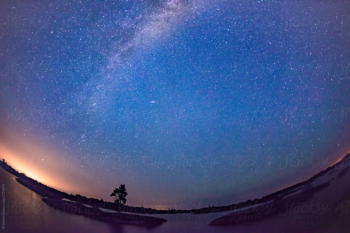 Fisheye Silhouette of Lone WInd Swept Pine with Milky Way Galaxy Night Sky on Georgian Bay Island