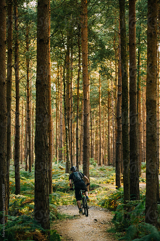 A man pumping his bike through a turn on a forest trail