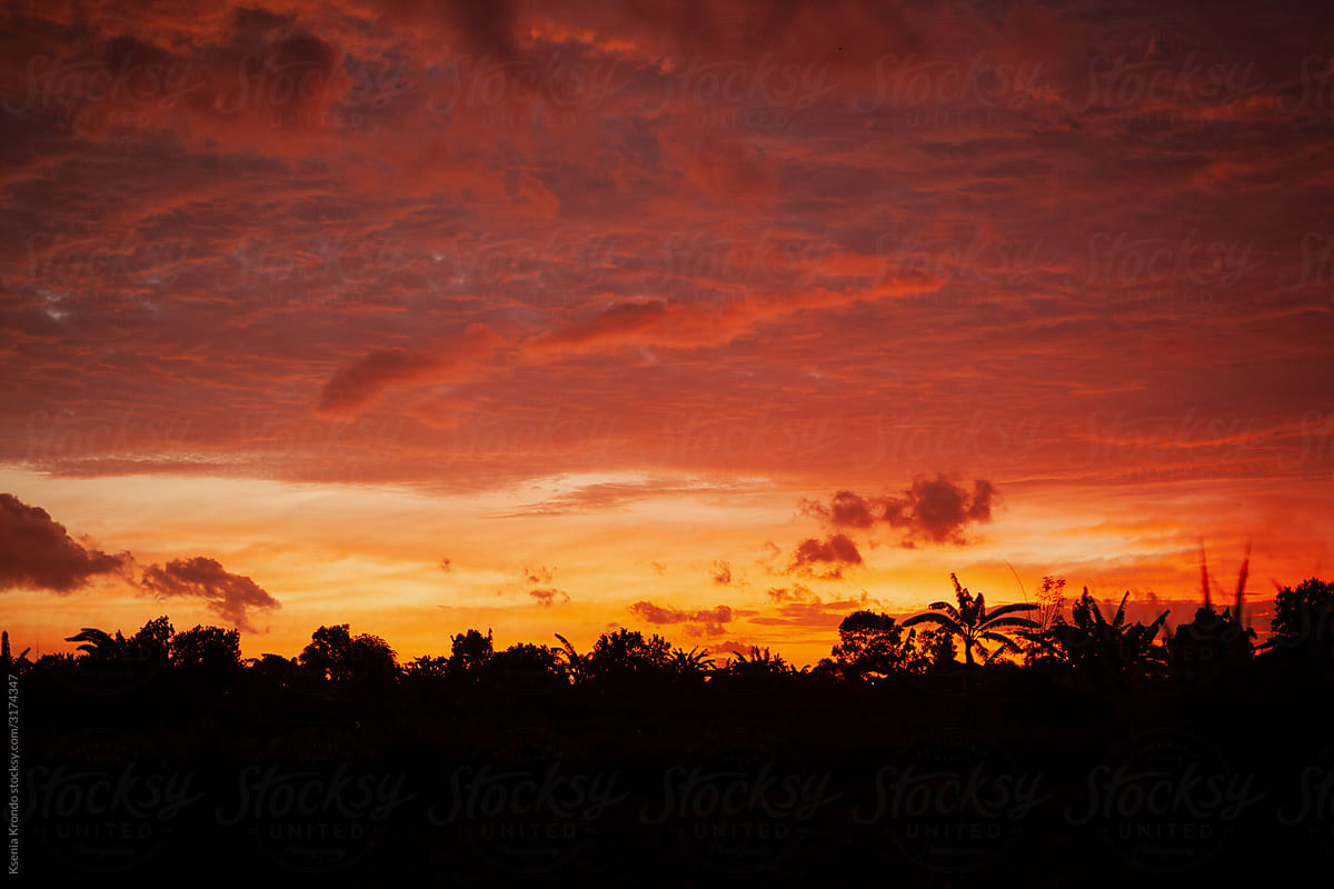 Sunset Jungle Red Sky Clouds Tropical Asia Rainforest