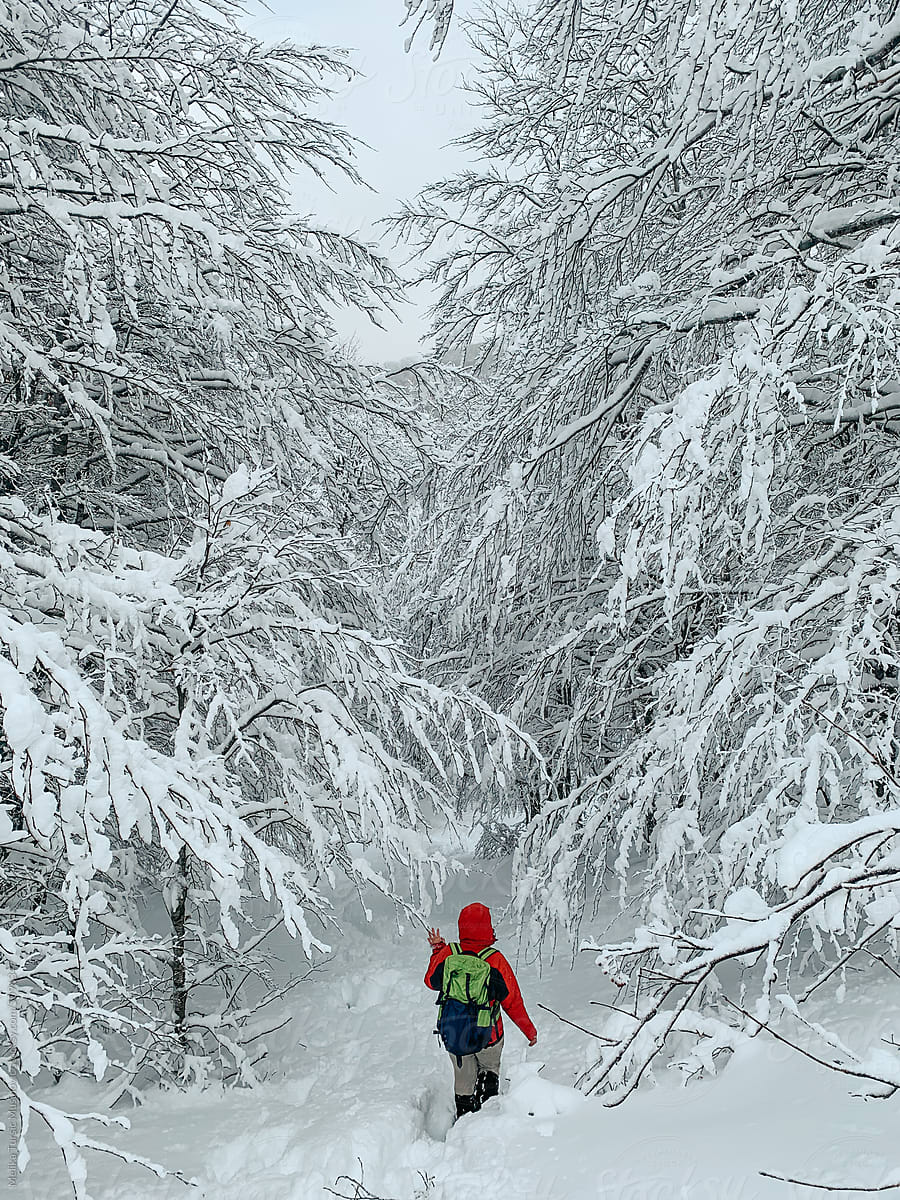 Female hiker in snow covered mountain