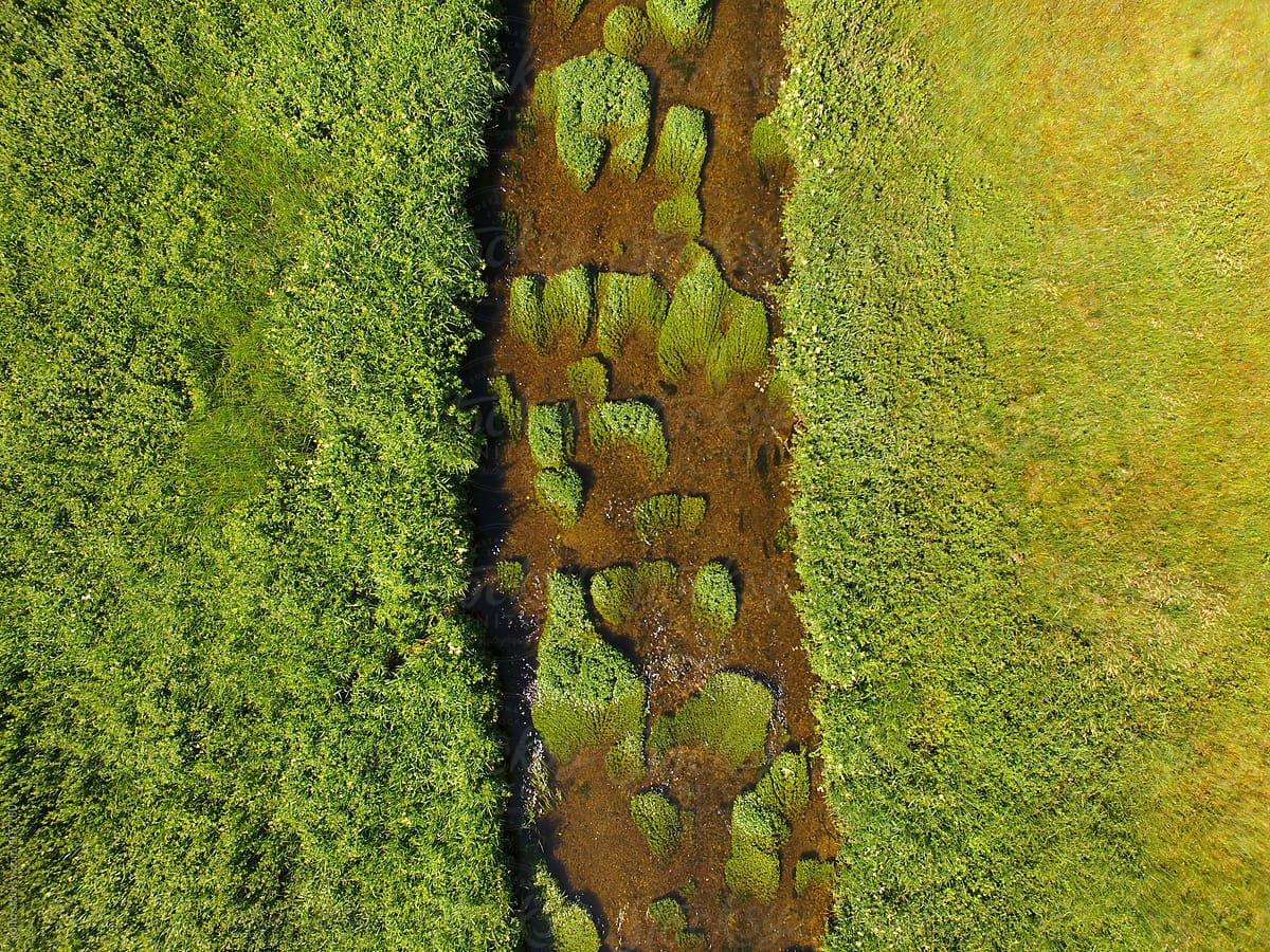 Aerial shot of river with green islands