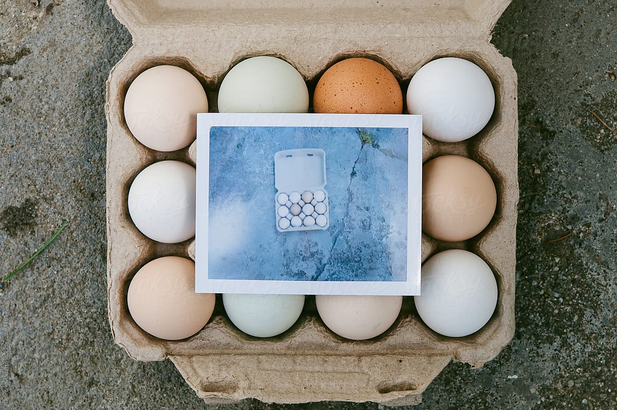 Carton of eggs with instant photograph