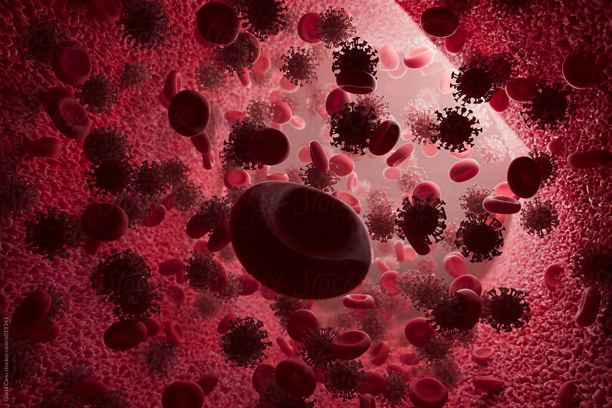 3D Render of Red Blood Cells and Viral Particles