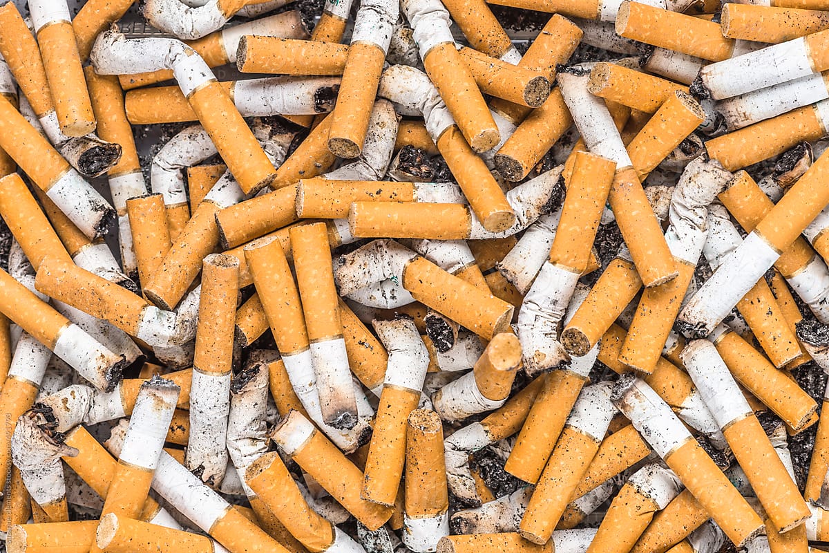 effects of tobacco on pregnancy Smoking during pregnancy increases risk of childhood obesity: Brock-led research – The Brock News effects of tobacco on pregnancy Smoking during pregnancy increases risk of childhood obesity: Brock-led research – The Brock News